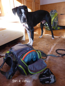 hunderucksack packen